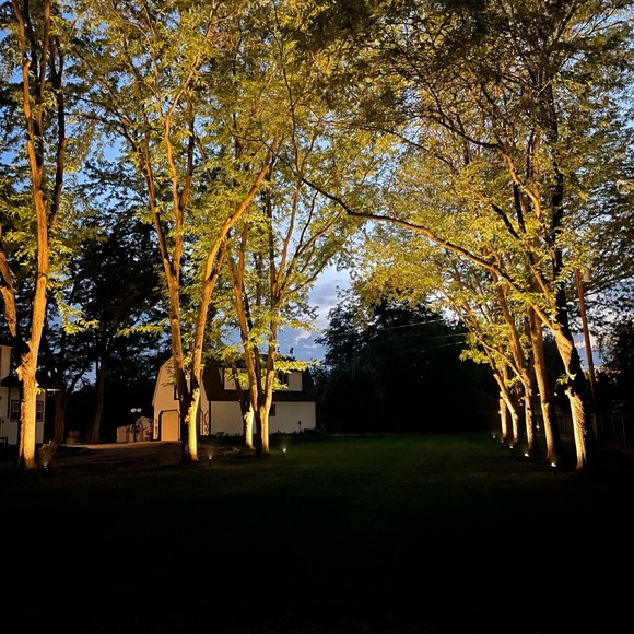 Hello from Boise - Picture 5 of 5